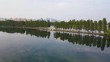4K航拍武汉东湖游客来往自然风光视频的预览图